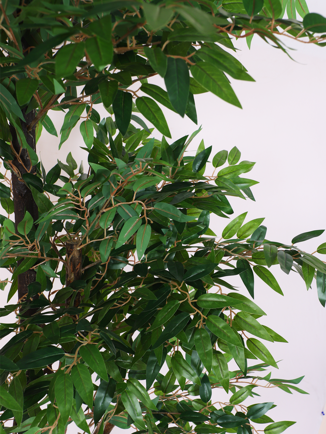 artificial ficus plant with pot 6 feet for home and office decor