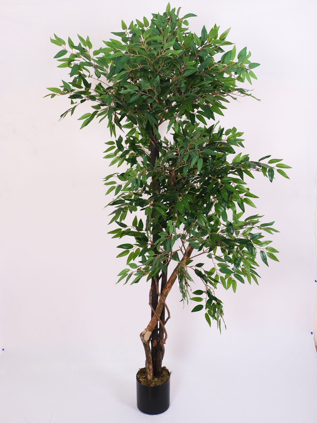 artificial ficus plant with pot 6 feet for home and office decor