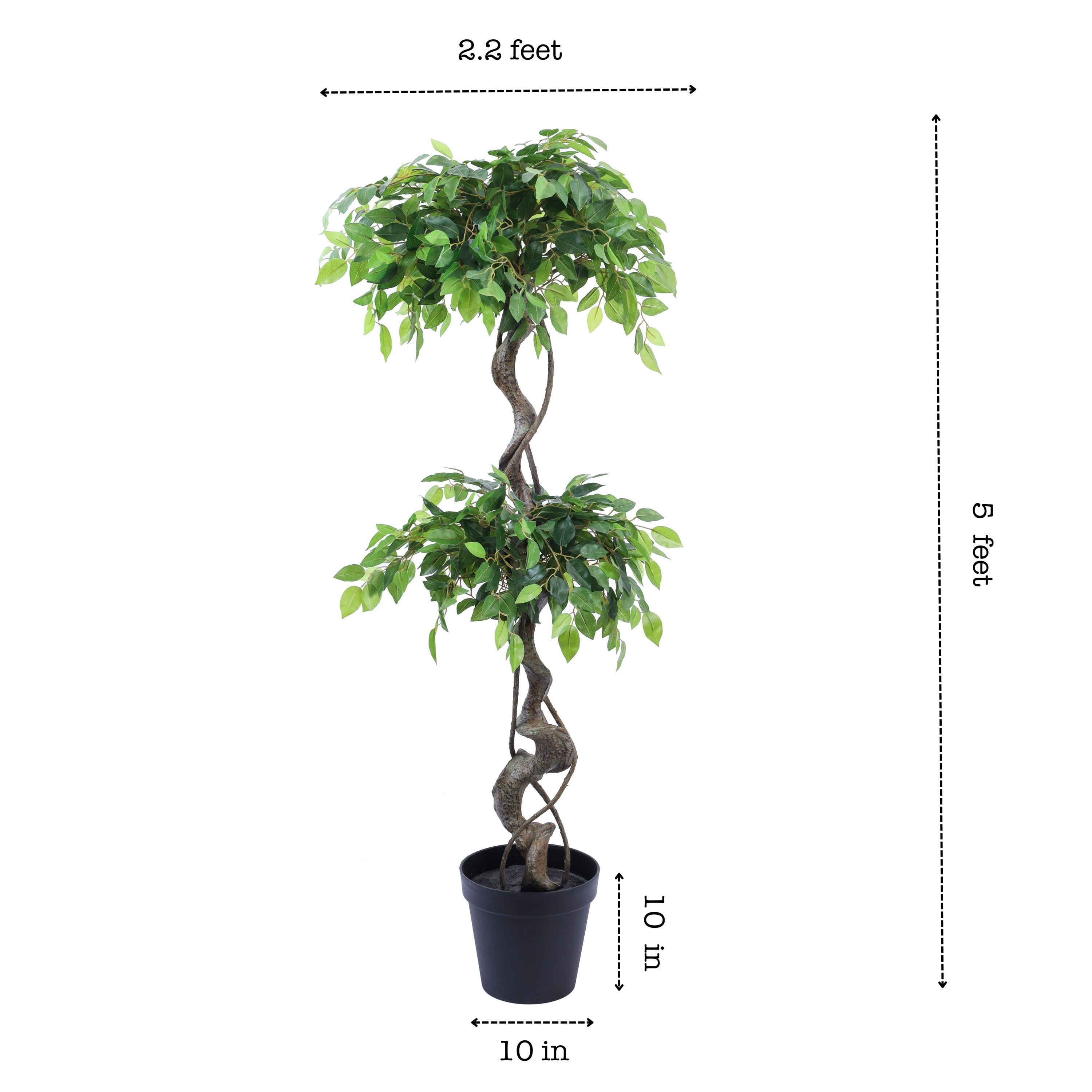 faux luxe ficus plant with black pot 5 feet for home and office decor for indoor and outdoor use