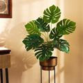 faux premium monstera plant with pot 2 feet for home and office decor for indoor and outdoor use