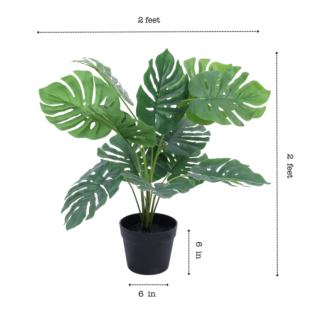faux premium monstera plant with pot 2 feet for home and office decor for indoor and outdoor use