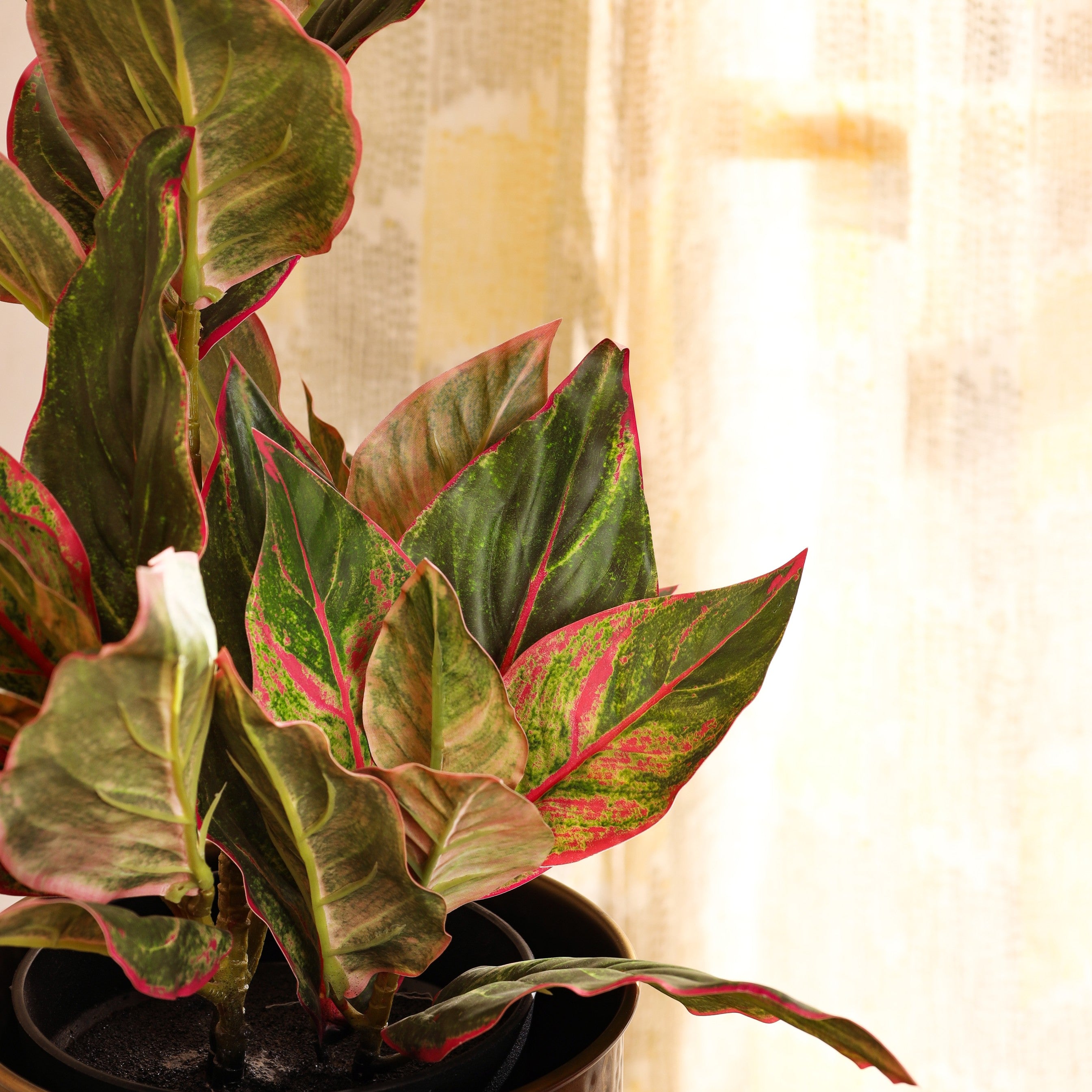 faux premium pink dieffenbachia plant with pot 2 feet for home and office decor for indoor and outdoor use