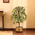 faux premium variegated ficus plant with pot 4 feet for home and office decor for indoor and outdoor use