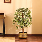 faux premium variegated ficus plant with pot 4 feet for home and office decor for indoor and outdoor use