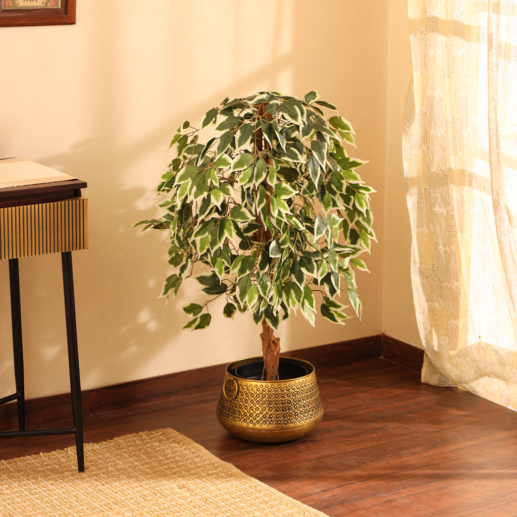 faux premium variegated ficus plant with pot 4 feet for home and office decor for indoor and outdoor use
