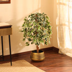 faux premium variegated ficus plant with pot 4 feet for home and office decor for indoor and outdoor use