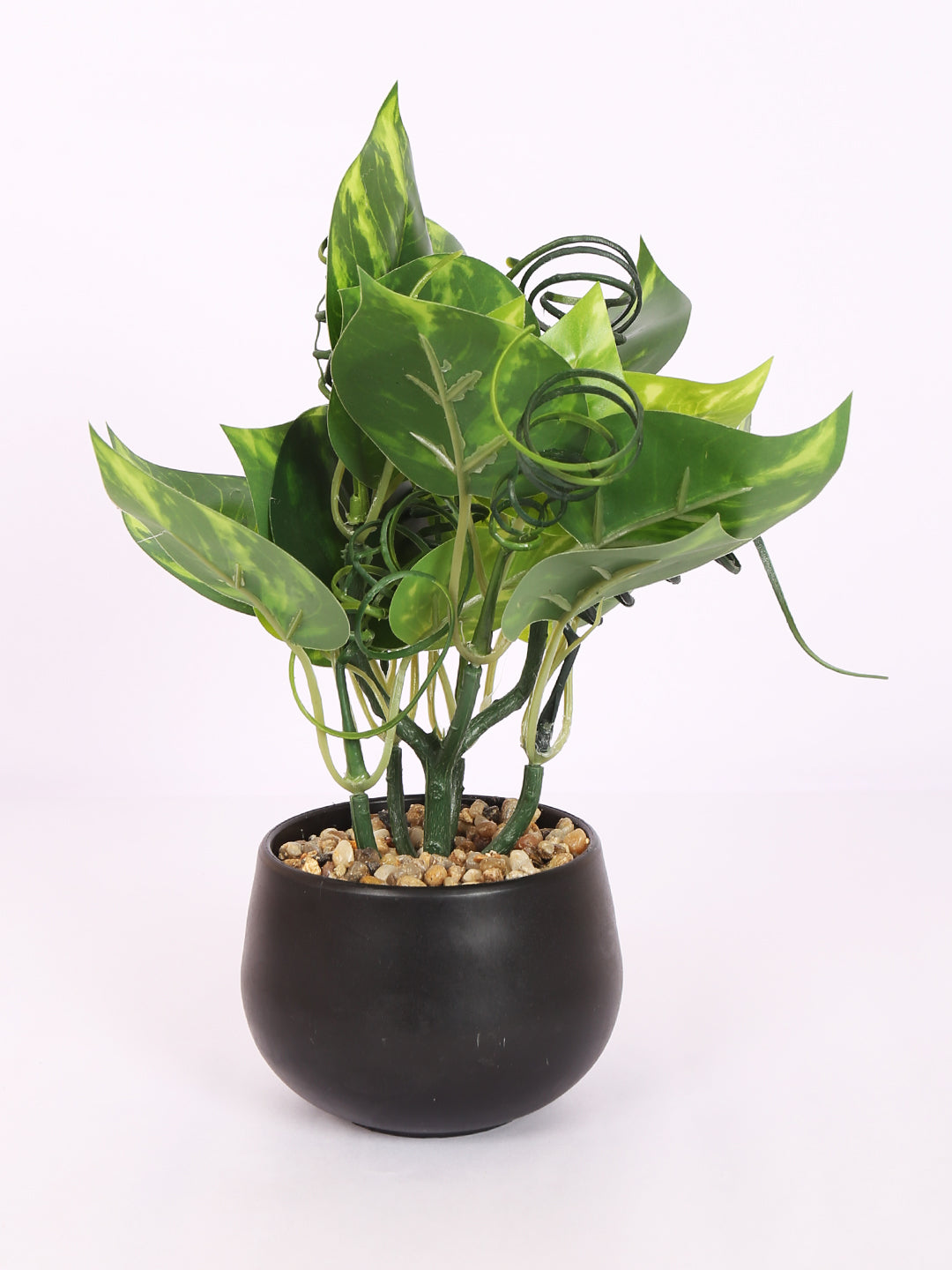 luxe faux bonsai money plant    with pot 22 cm for home and office decor for indoor and outdoor use 