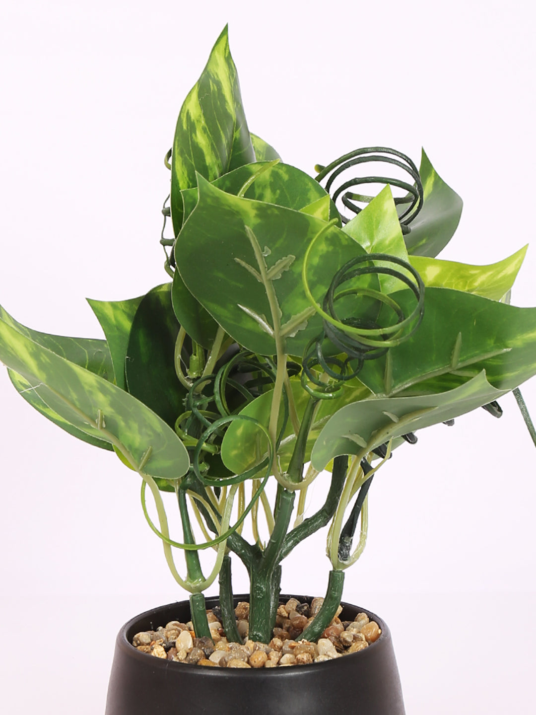 luxe faux bonsai money plant    with pot 22 cm for home and office decor for indoor and outdoor use 