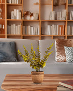 premium artificial eucalyptus plant green color with pot 1 foot for home and office decor for indoor and outdoor use