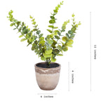 premium artificial eucalyptus plant green color with pot 1 foot for home and office decor for indoor and outdoor use