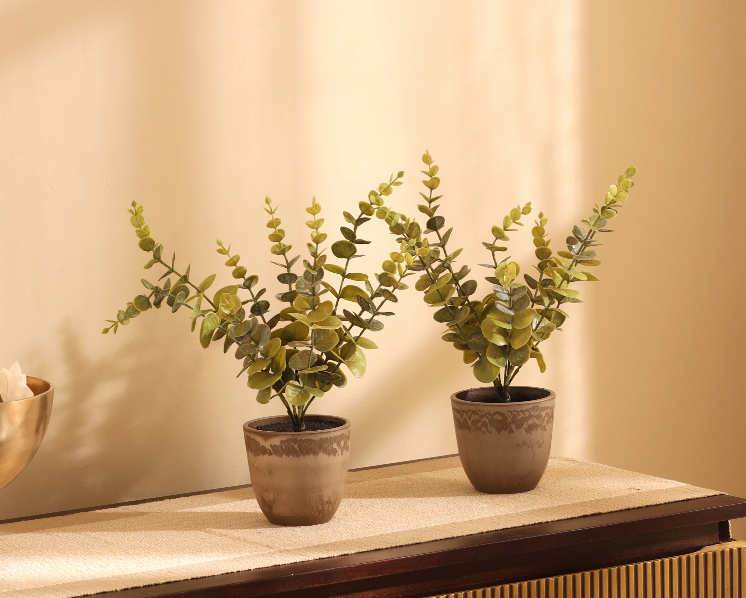 premium artificial eucalyptus plant set of 2 green color with pot 1 foot for home and office decor for indoor and outdoor use