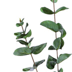 premium artificial eucalyptus sticks set of 3 sticks green color 2 feet for home and office decor for indoor and outdoor use 