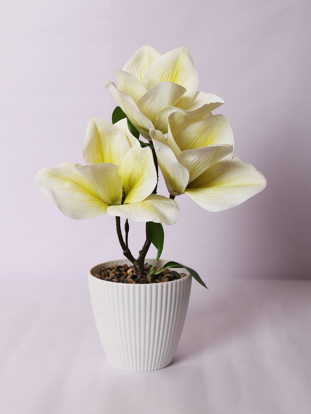 premium artificial magnolia flower bonsai plant with pot white color 30 cm for home and office decor for indoor and outdoor use 