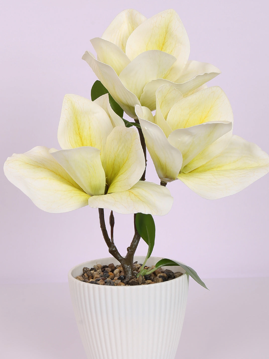 premium artificial magnolia flower bonsai plant with pot white color 30 cm for home and office decor for indoor and outdoor use 