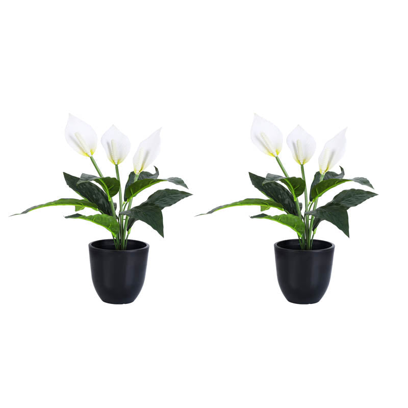 premium artificial peace lily flower bonsai plants set of 2 white color with pot 1 foot for home and office decor for indoor and outdoor use 