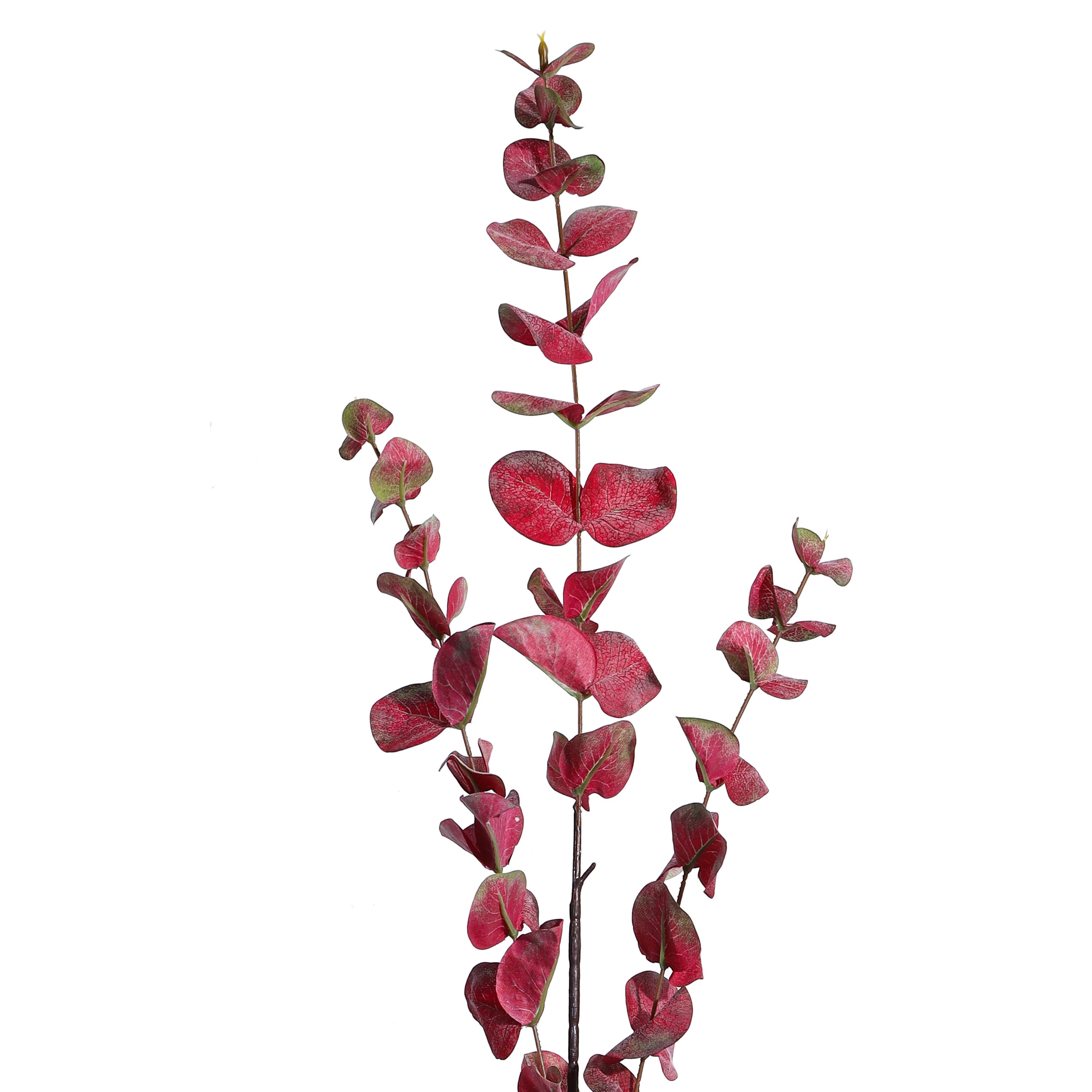 premium artificial red color eucalyptus 3 sticks 2.5 feet for home and office decor for indoor and outdoor use 