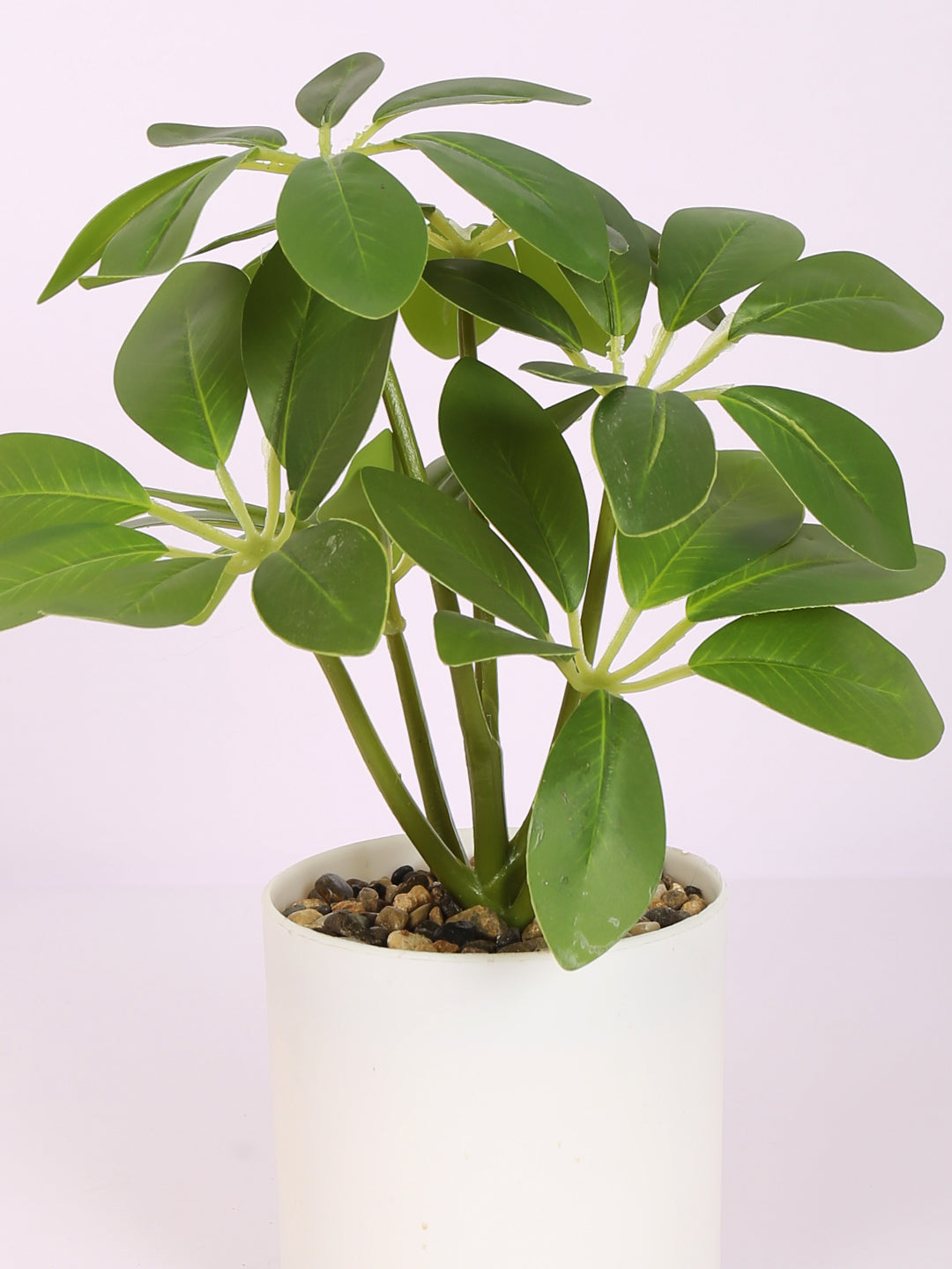 premium artificial schefflera potted bonsai plant with pot green color 22 cm for home and office decor for indoor and outdoor use 