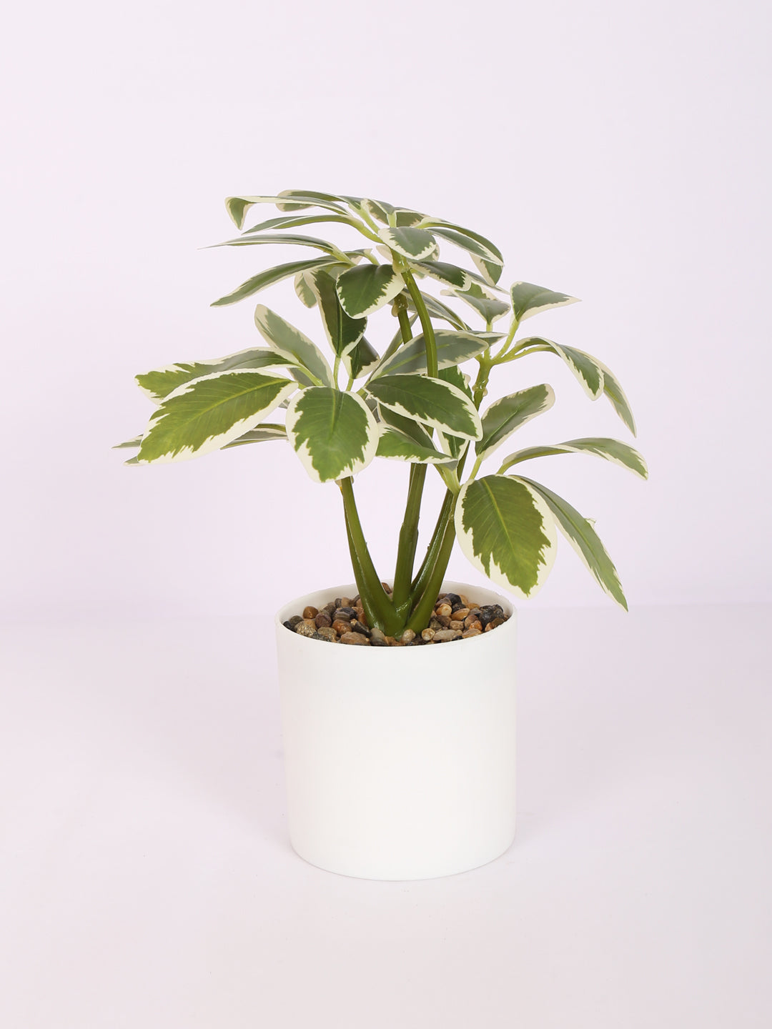 premium artificial schefflera potted bonsai plant with pot white color 22 cm for home and office decor for indoor and outdoor use 