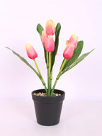 premium artificial tulip flower potted bonsai plant with pot 32 cm baby pink color for home and office decor for indoor and outdoor use 