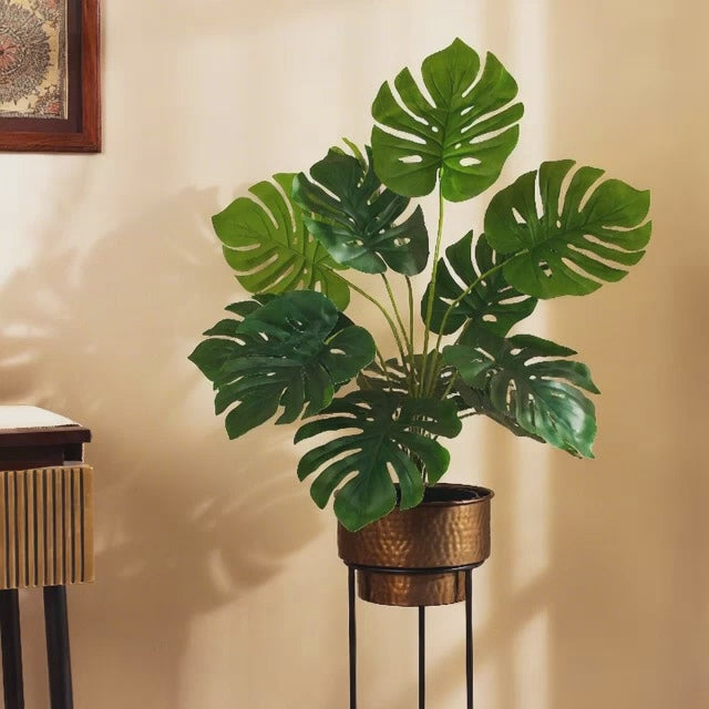 artificial premium monstera plant with pot 2 feet for home and office decor for indoor and outdoor use