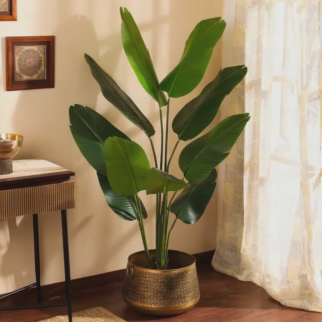 artificial luxe banana plant with black pot 5 feet for home and office decor for indoor and outdoor use